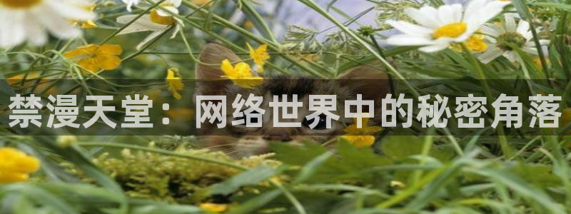 omofun官方app下载：禁漫天堂：网络世界中的秘密角落