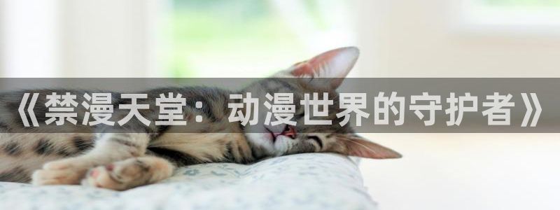 omofun:：《禁漫天堂：动漫世界的守护者》
