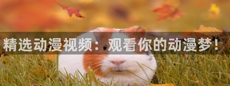 歪歪漫画入口苹果：精选动漫视频：观看你的动漫梦！