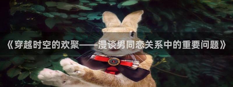 omofun.动漫在线看：《穿越时空的欢聚——漫谈男同恋关系中的重要问题》