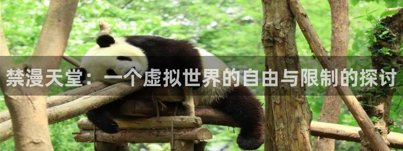 omofun动漫网页版：禁漫天堂：一个虚拟世界的自由与限制的探讨