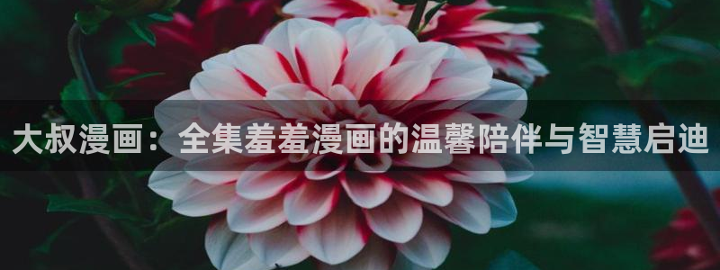 omofun吗：大叔漫画：全集羞羞漫画的温馨陪伴与智慧启迪