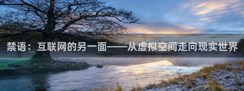 下载omofun：禁语：互联网的另一面——从虚拟空间走向现实世界