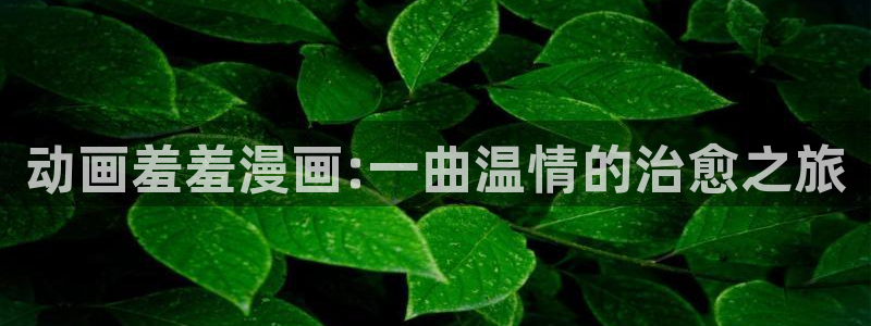 omofun纯净版下载：动画羞羞漫画:一曲温情的治愈之旅