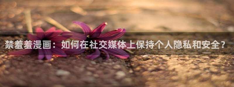 omofun.onl：禁羞羞漫画：如何在社交媒体上保持个人隐私和安全？
