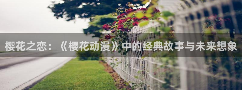 omofun动漫app下载最新版：樱花之恋：《樱花动漫》中的经典故事与未来想象